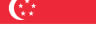 sg_flag
