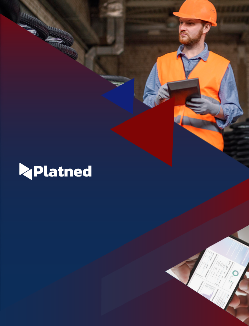 supplier payments with real-time insights