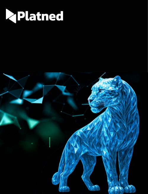 Crystal reports to IFS report USA