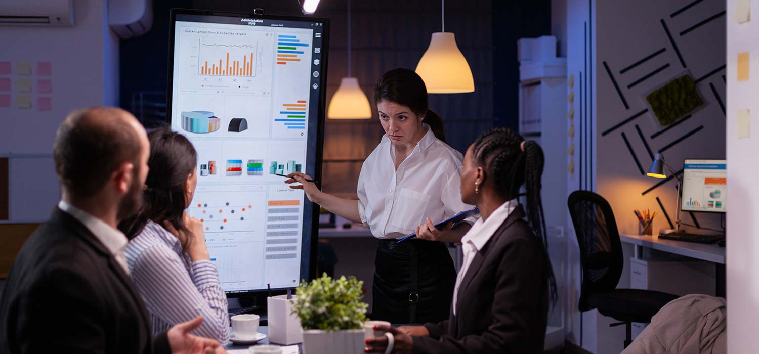 ERP Project Delivery